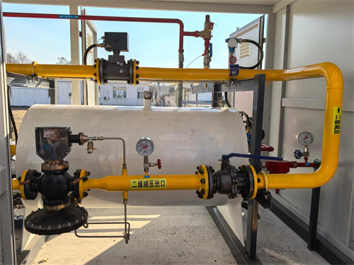 1734316980939623.jpg 黑龙江:小秸秆“链”出发展新动能1.jpg