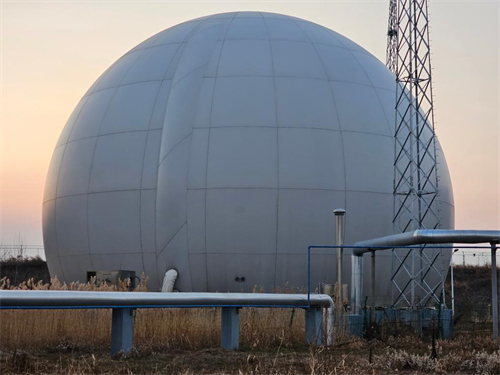 1734316996553555.jpg 黑龙江:小秸秆“链”出发展新动能2.jpg