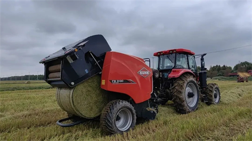 1738721354227761.jpg 在崇明,一根秸秆拥有着无限可能4.jpg