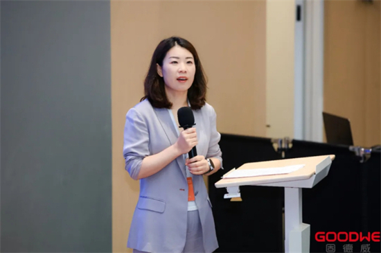 1753838926734567.jpg “源网荷储智多场景用户侧储能应用沙龙暨负荷中心低碳保供与灵活性资源潜力研究成果发布”在江苏苏州举行2.jpg