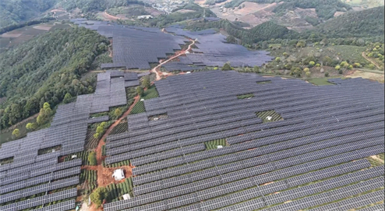 1757381443269035.jpg 茶山披“光”甲1.jpg